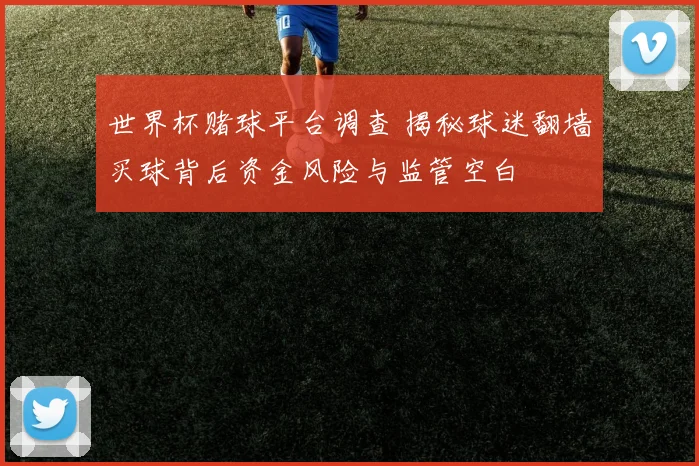 世界杯赌球平台调查 揭秘球迷翻墙买球背后资金风险与监管空白