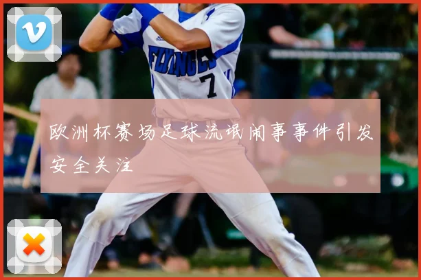 欧洲杯赛场足球流氓闹事事件引发安全关注