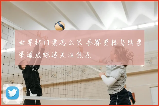 世界杯门票怎么买 参赛资格与购票渠道成球迷关注焦点
