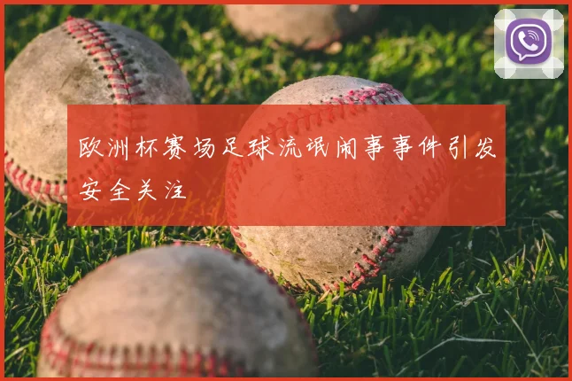 欧洲杯赛场足球流氓闹事事件引发安全关注