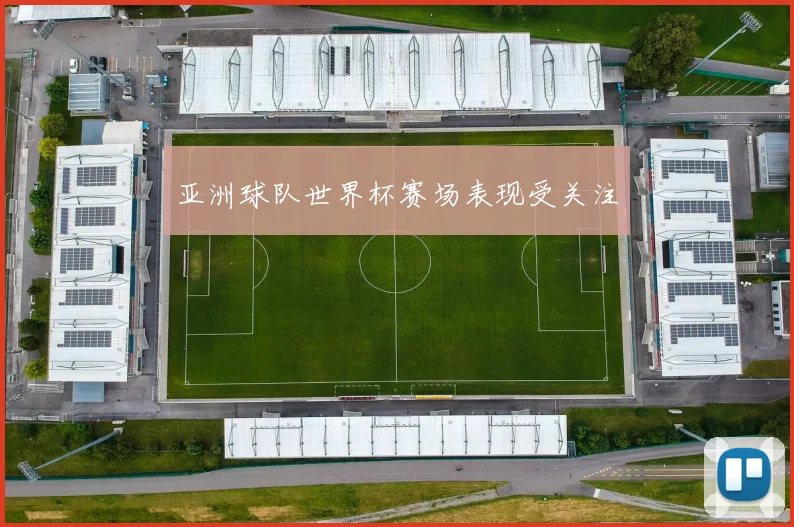 亚洲球队世界杯赛场表现受关注