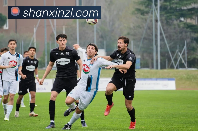 milan登录入口APP 封面图